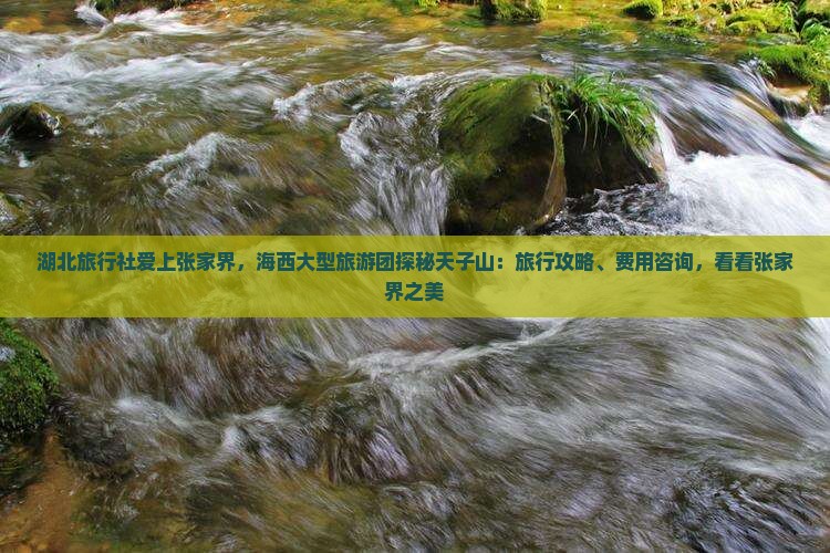 湖北旅行社爱上张家界，海西大型旅游团探秘天子山：旅行攻略、费用咨询，看看张家界之美