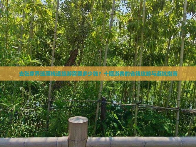 去张家界玻璃栈道旅游需要多少钱？十堰游客的省钱攻略与避坑指南