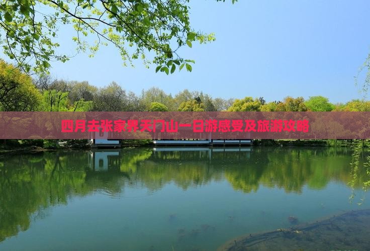 四月去张家界天门山一日游感受及旅游攻略