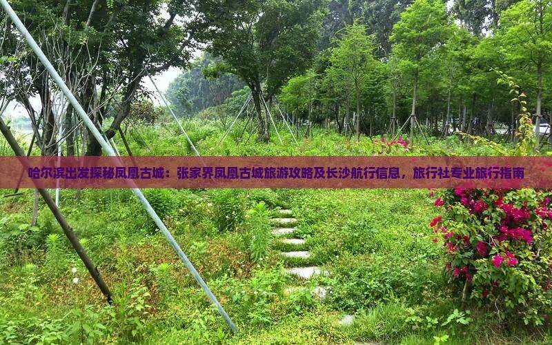 哈尔滨出发探秘凤凰古城：张家界凤凰古城旅游攻略及长沙航行信息，旅行社专业旅行指南