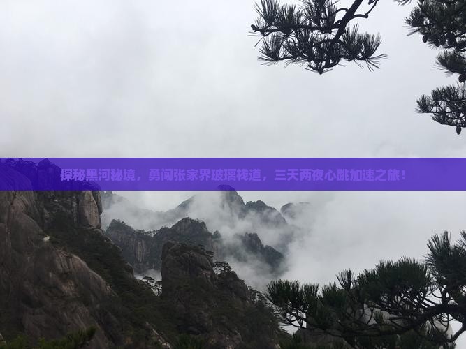 探秘黑河秘境，勇闯张家界玻璃栈道，三天两夜心跳加速之旅！