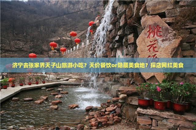 济宁去张家界天子山旅游小吃？天价餐饮or隐藏美食地？探店网红美食