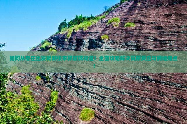如何从枣庄出发畅游张家界玻璃栈道？全面攻略解决高原反应与拥堵痛点！