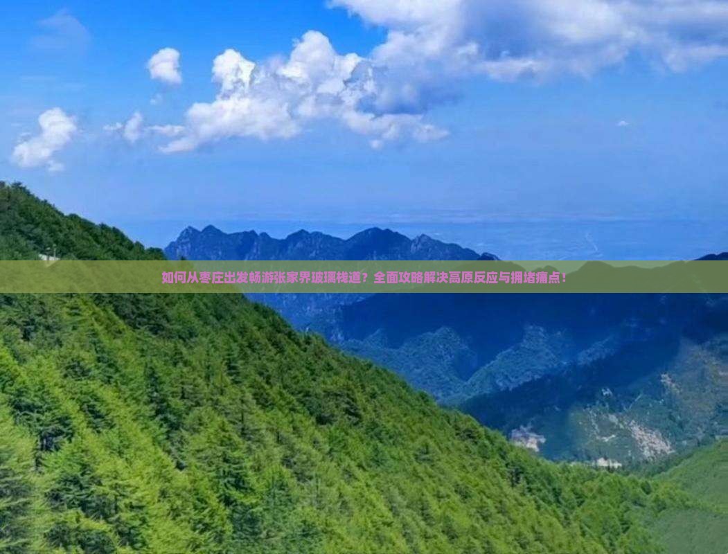 如何从枣庄出发畅游张家界玻璃栈道？全面攻略解决高原反应与拥堵痛点！