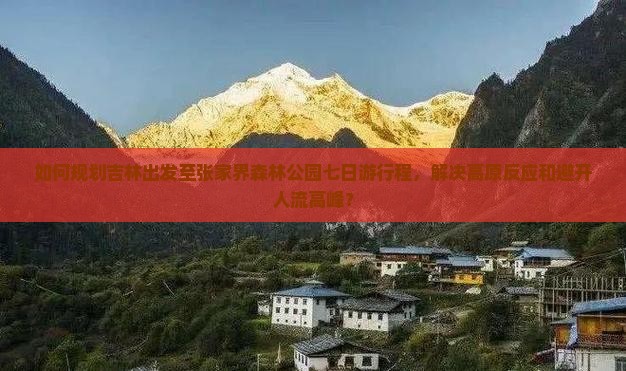如何规划吉林出发至张家界森林公园七日游行程，解决高原反应和避开人流高峰？
