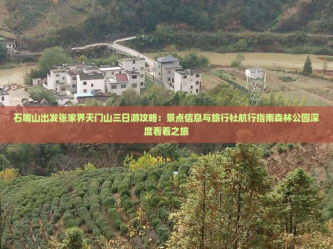 石嘴山出发张家界天门山三日游攻略：景点信息与旅行社航行指南森林公园深度看看之旅