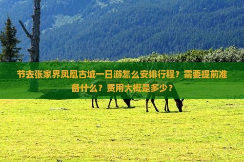 节去张家界凤凰古城一日游怎么安排行程？需要提前准备什么？费用大概是多少？