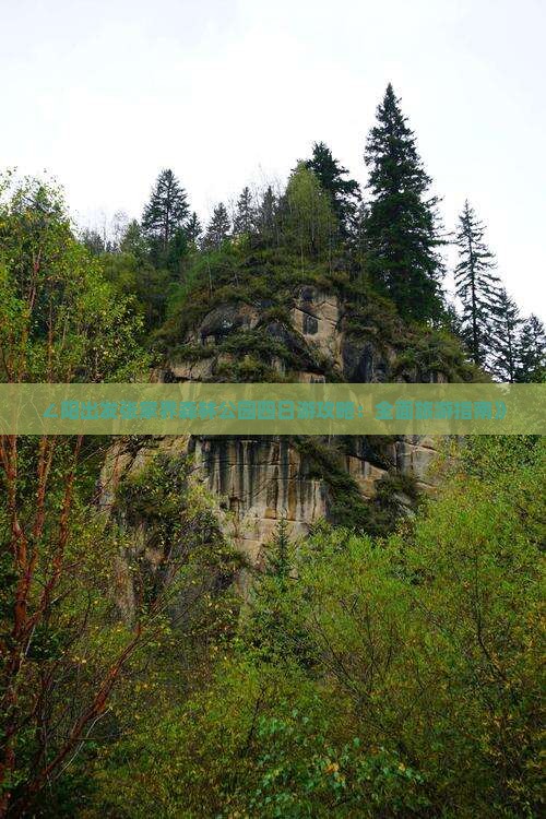 ∠阳出发张家界森林公园四日游攻略：全面旅游指南》