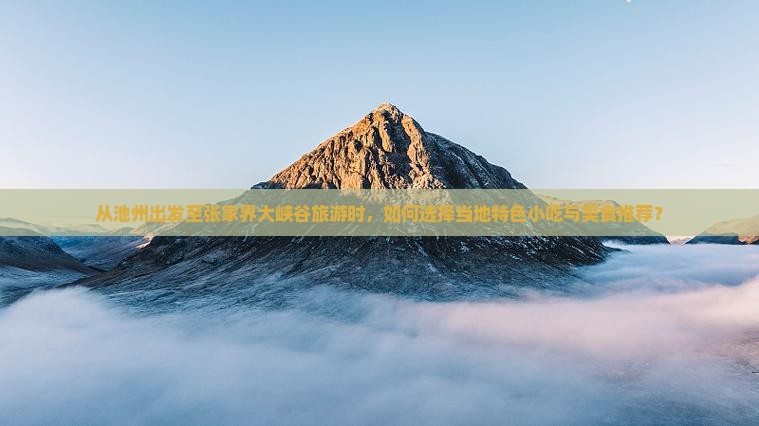 从池州出发至张家界大峡谷旅游时，如何选择当地特色小吃与美食推荐？