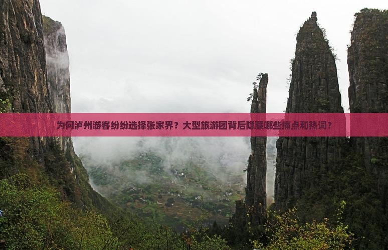 为何泸州游客纷纷选择张家界？大型旅游团背后隐藏哪些痛点和热词？