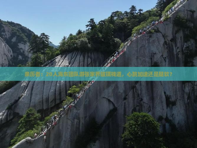 亲历者：20人海东团队游张家界玻璃栈道，心跳加速还是腿软？