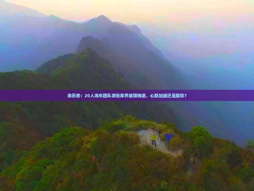 亲历者：20人海东团队游张家界玻璃栈道，心跳加速还是腿软？