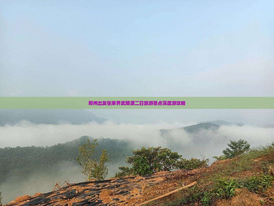 郑州出发张家界武陵源二日旅游景点深度游攻略