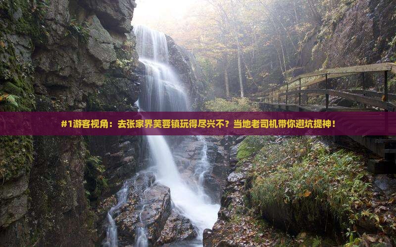 #1游客视角：去张家界芙蓉镇玩得尽兴不？当地老司机带你避坑提神！