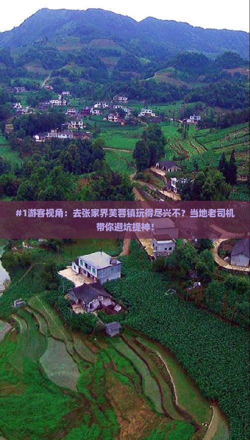#1游客视角：去张家界芙蓉镇玩得尽兴不？当地老司机带你避坑提神！