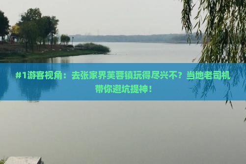 #1游客视角：去张家界芙蓉镇玩得尽兴不？当地老司机带你避坑提神！