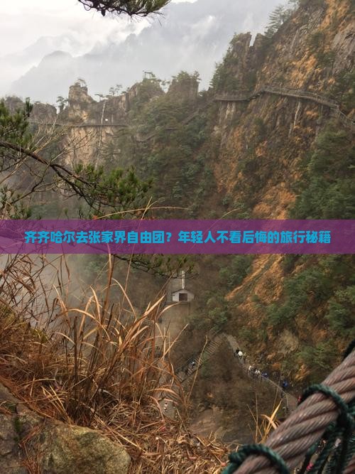 齐齐哈尔去张家界自由团？年轻人不看后悔的旅行秘籍