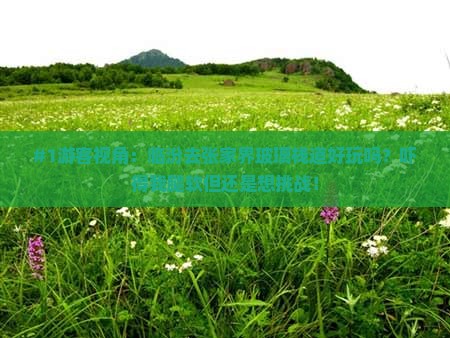 #1游客视角：临汾去张家界玻璃栈道好玩吗？吓得我腿软但还是想挑战！