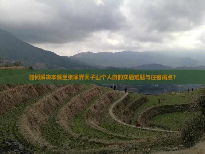 如何解决本溪至张家界天子山个人游的交通难题与住宿痛点？