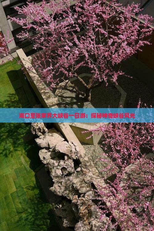 海口至张家界大峡谷一日游：探秘神奇峡谷风光