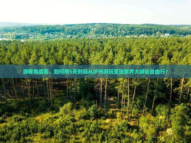 游客角度看，如何用5天时间从泸州游玩至张家界大峡谷自由行？