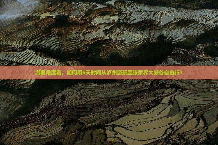 游客角度看，如何用5天时间从泸州游玩至张家界大峡谷自由行？