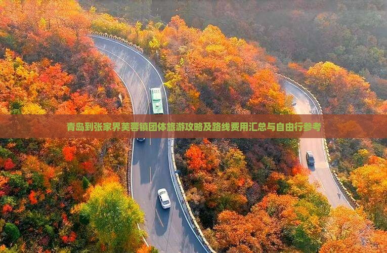 青岛到张家界芙蓉镇团体旅游攻略及路线费用汇总与自由行参考