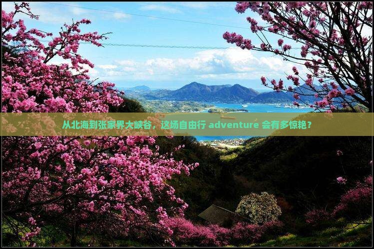 从北海到张家界大峡谷，这场自由行 adventure 会有多惊艳？