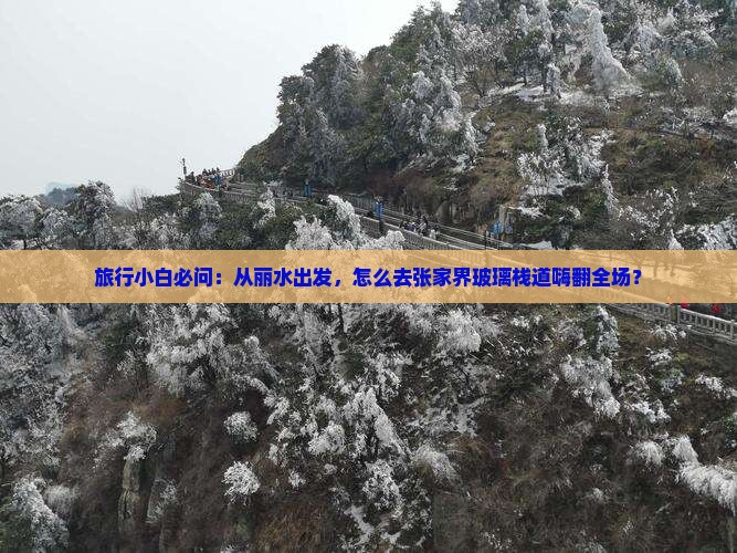 旅行小白必问：从丽水出发，怎么去张家界玻璃栈道嗨翻全场？