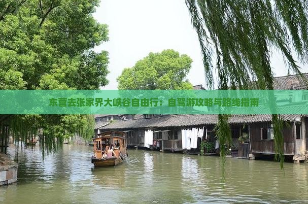 东营去张家界大峡谷自由行：自驾游攻略与路线指南