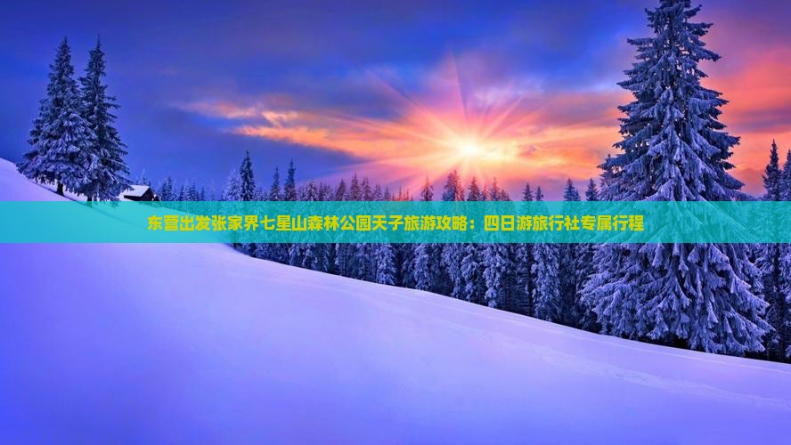 东营出发张家界七星山森林公园天子旅游攻略：四日游旅行社专属行程