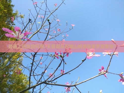 普通上班族如何用7天假期从石嘴山畅游张家界芙蓉镇？