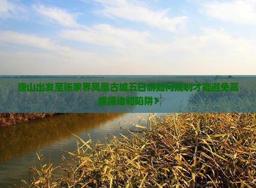 唐山出发至张家界凤凰古城五日游如何规划才能避免高峰拥堵和陷阱？