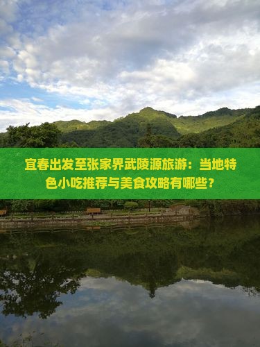 宜春出发至张家界武陵源旅游：当地特色小吃推荐与美食攻略有哪些？