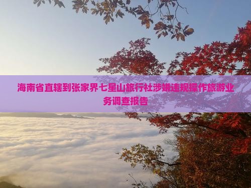 海南省直辖到张家界七星山旅行社涉嫌违规操作旅游业务调查报告