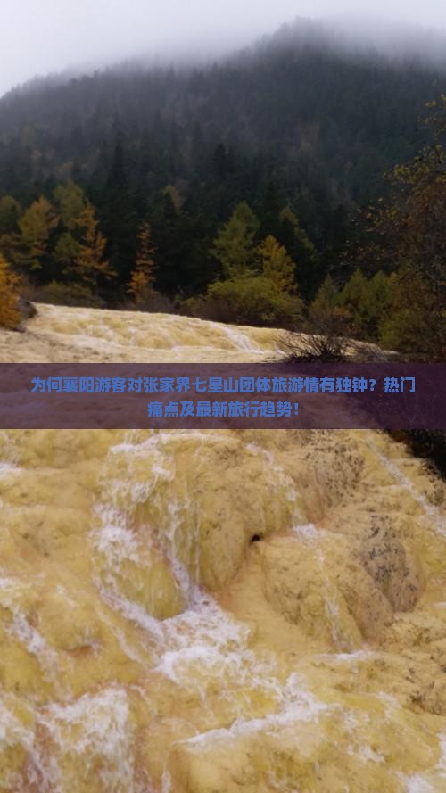 为何襄阳游客对张家界七星山团体旅游情有独钟？热门痛点及最新旅行趋势！