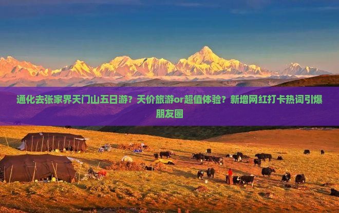 通化去张家界天门山五日游？天价旅游or超值体验？新增网红打卡热词引爆朋友圈