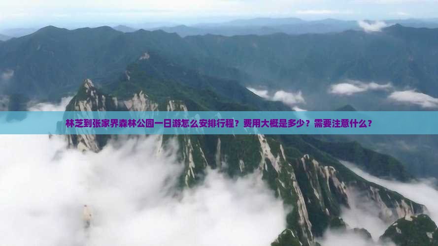 林芝到张家界森林公园一日游怎么安排行程？费用大概是多少？需要注意什么？
