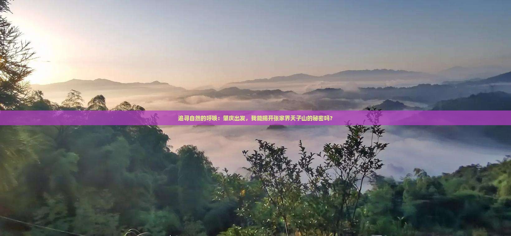 追寻自然的呼唤：肇庆出发，我能揭开张家界天子山的秘密吗？