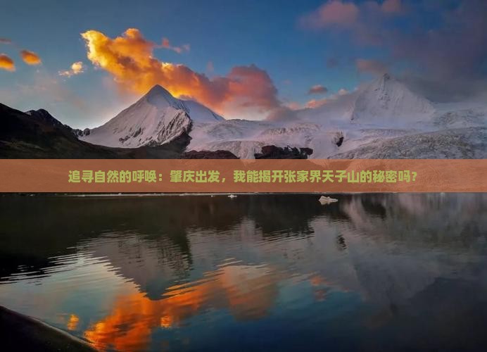 追寻自然的呼唤：肇庆出发，我能揭开张家界天子山的秘密吗？