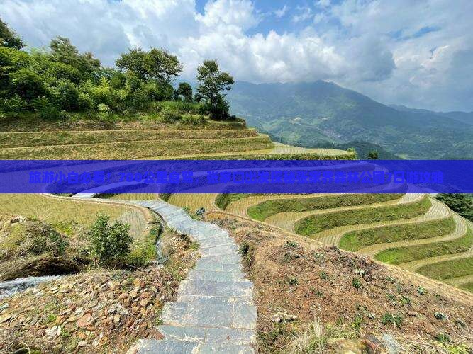 旅游小白必看！700公里自驾，张家口出发探秘张家界森林公园7日游攻略