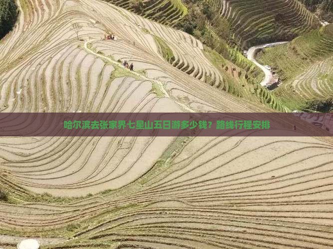 哈尔滨去张家界七星山五日游多少钱？路线行程安排