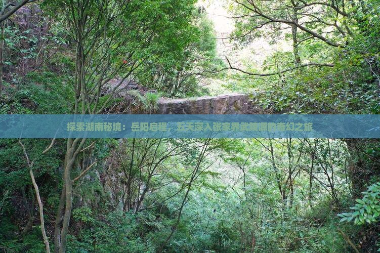 探索湖南秘境：岳阳启程，五天深入张家界武陵源的奇幻之旅