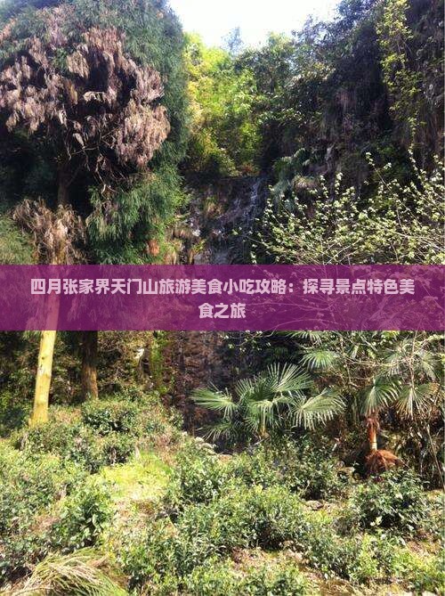 四月张家界天门山旅游美食小吃攻略：探寻景点特色美食之旅