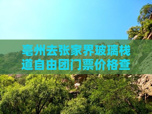 亳州去张家界玻璃栈道自由团门票价格查询
