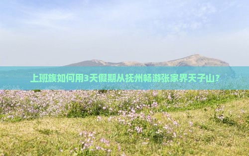 上班族如何用3天假期从抚州畅游张家界天子山？