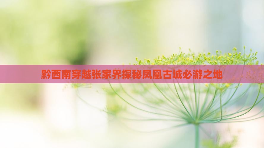 黔西南穿越张家界探秘凤凰古城必游之地