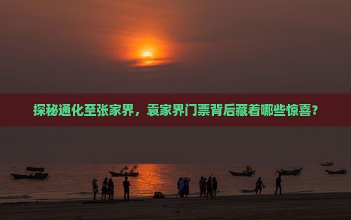 探秘通化至张家界，袁家界门票背后藏着哪些惊喜？