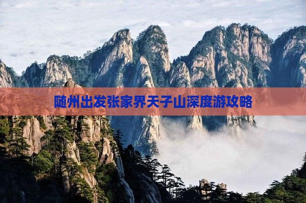 随州出发张家界天子山深度游攻略