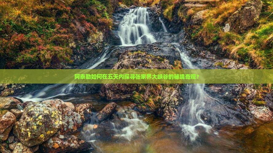 阿泰勒如何在五天内探寻张家界大峡谷的秘境奇观？
